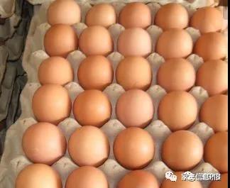 2019上半年，蛋价“涨跌不易、名堂难变”